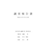 『NGT48第三者委員会調査報告書』（2019年3月21日）